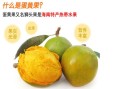 鸡蛋果哪里特产（鸡蛋果哪里特产最好吃）