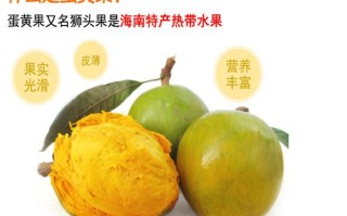 鸡蛋果哪里特产（鸡蛋果哪里特产最好吃）