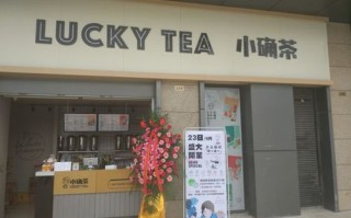 小确茶什么必点,小确茶加盟怎么样赚钱