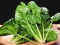 户县哪里产菠菜（户县哪里产菠菜最多）