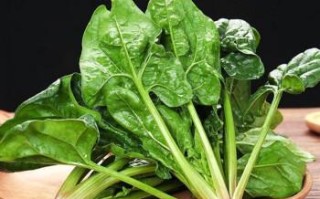 户县哪里产菠菜（户县哪里产菠菜最多）