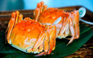 3月份大闸蟹还好吃吗,大闸蟹哪里好吃排行榜