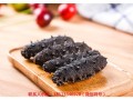天津哪里买海参（天津哪里买海参便宜）