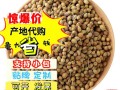 香菜籽磨成粉怎么用,香菜粉哪里有卖的