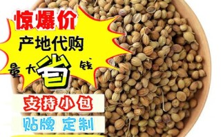 香菜籽磨成粉怎么用,香菜粉哪里有卖的