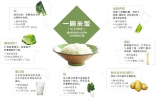 大米成分去哪里（大米的成分有什么）