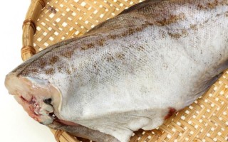 鳕鱼哪里的好（鳕鱼哪里买正宗）