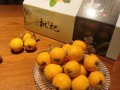 塘栖枇杷哪里买最正宗,枇杷哪里买好吃