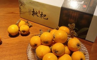 塘栖枇杷哪里买最正宗,枇杷哪里买好吃