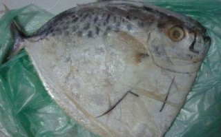 鱼哪里不能吃（什么魚不能吃）