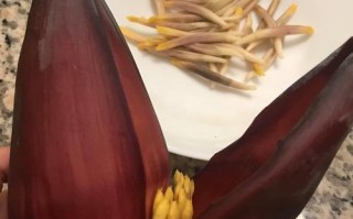 香蕉花怎么吃,香蕉花吃哪里最好