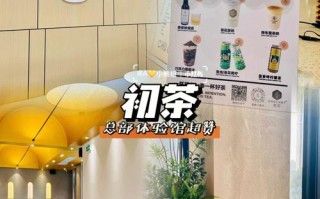 初味西湖龙井怎么样,初茶总部在哪里