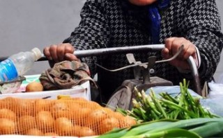 沈阳哪里卖菜最全（沈阳哪里卖菜最全便宜）