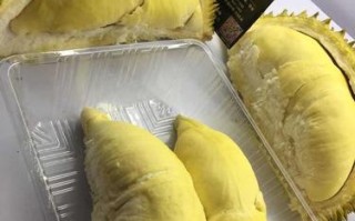 哪里的榴莲好吃,哪里的榴莲好吃又便宜产地
