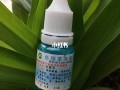 哪里可以买到鱼腥草（哪里可以买到鱼腥草滴鼻液呢）