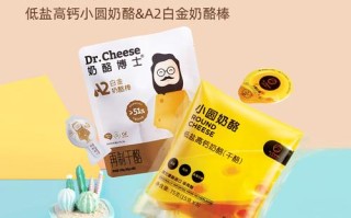哪里可以买到奶酪（哪里可以买到奶酪博士旧版的小圆奶酪）