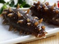 大连海参品牌前十名,大连哪里的海参最好最正宗