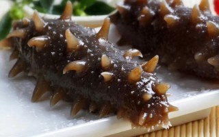 大连海参品牌前十名,大连哪里的海参最好最正宗