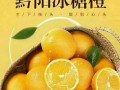 冰糖橙哪里的好吃（冰糖橙那里的最好吃，在线等）