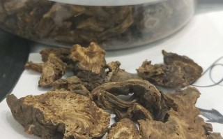哪里的羌活好（哪里的羌活好）