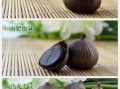 哪里的黑蒜好（哪里的大蒜最好）