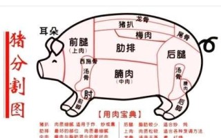 猪肉夹心肉是哪里的（夹缝肉是指猪的哪个部位）