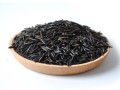 菰米哪里最好（菰米哪里最好吃最出名）