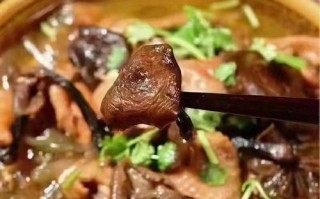 承德哪里出榛蘑菇最好,哪里的榛蘑好吃正宗