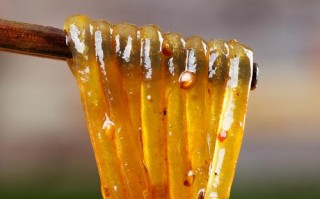 哪里的红薯粉丝好（哪里的红薯粉条好吃）
