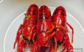 口香龙虾怎么样（口香龙虾怎么样好吃吗）