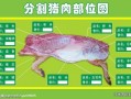 猪哪里最好（猪身上哪个部位的肉最好）
