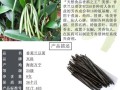 香草荚在哪里买（香草荚在哪里买的到）