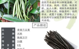 香草荚在哪里买（香草荚在哪里买的到）