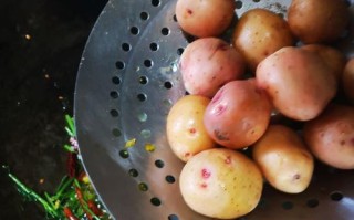 哪里有土豆渣（自制渣鲊洋芋正宗做法）