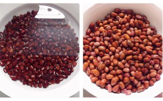 蜜豆是哪里（如何正确找到蜜豆）