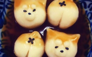 柴犬丸子哪里卖（柴犬丸子哪里卖的）