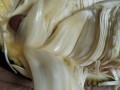 什么果实是纯白色的,白肉菠萝是哪里的特产