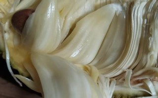 什么果实是纯白色的,白肉菠萝是哪里的特产