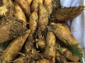 江西冬笋哪个县最便宜,江西哪里有冬笋挖