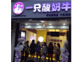 重庆一只酸奶牛怎么样（重庆一只酸奶牛怎么样啊）