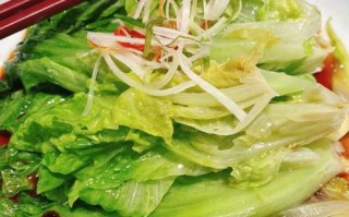 罗马生菜哪里有卖（罗马生菜最正宗的做法）