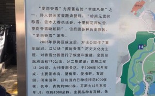 广东哪里有青梅（萝岗香雪公园摘青梅到什么时候）