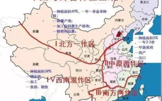2021年马铃薯分布范围,马铃薯吃的是哪里