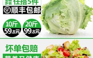 上海哪里有卖球生菜（圆生菜）的,圆生菜哪里可以买到
