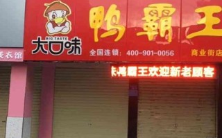 小霸王牌暖风机是名牌吗,鸭霸王大口味鸭铺怎么样好吃吗