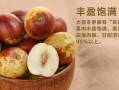 哪里冬枣好吃（哪里冬枣好吃又甜）