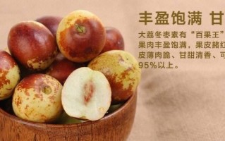 哪里冬枣好吃（哪里冬枣好吃又甜）