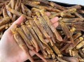 红参哪里的好（哪里产的红参好）