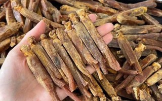 红参哪里的好（哪里产的红参好）
