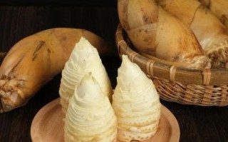 冬笋哪里的好（冬笋哪里的好吃）